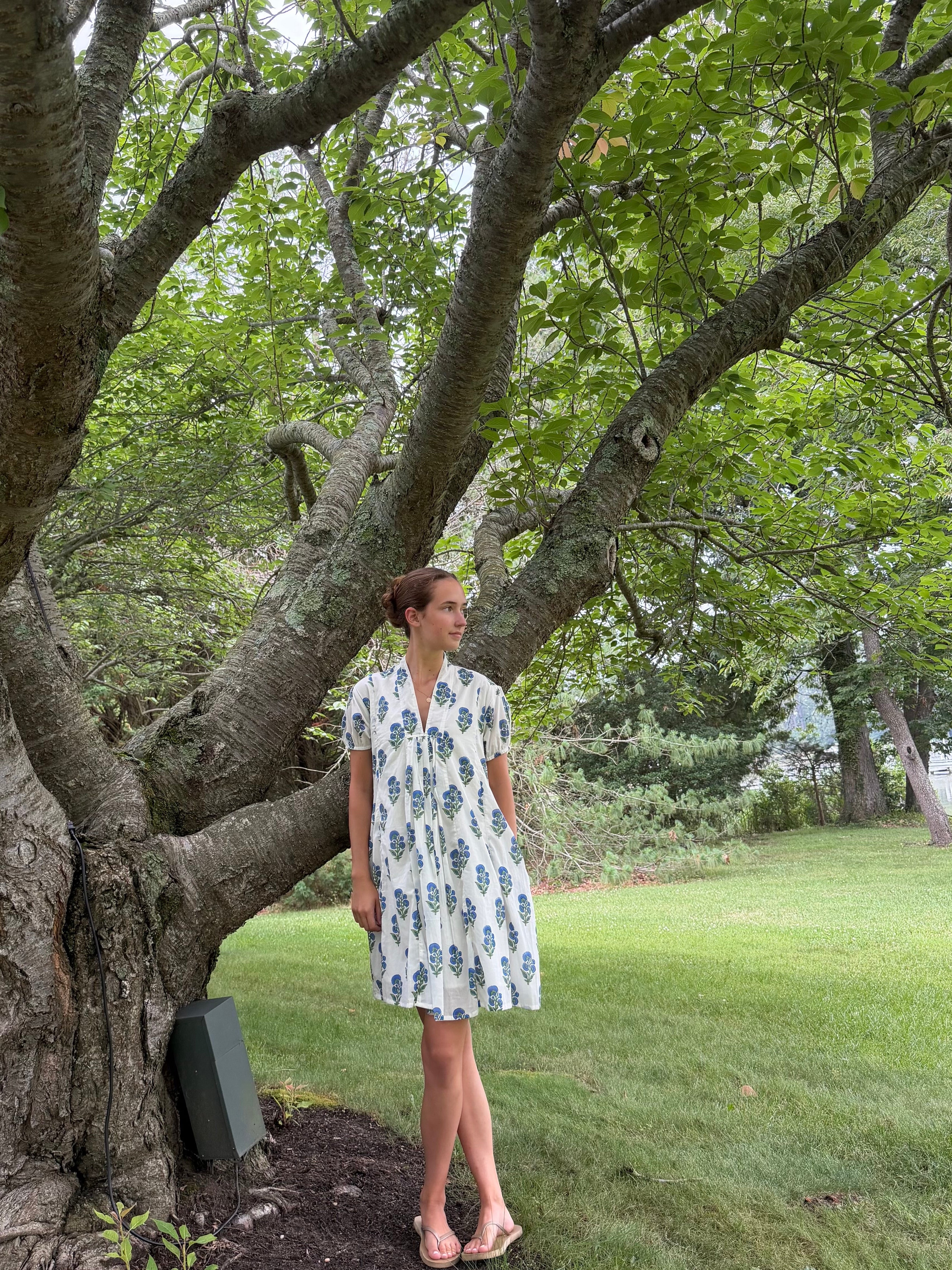 Claire Short Sleeve Mini Dress in Porcelain Bloom