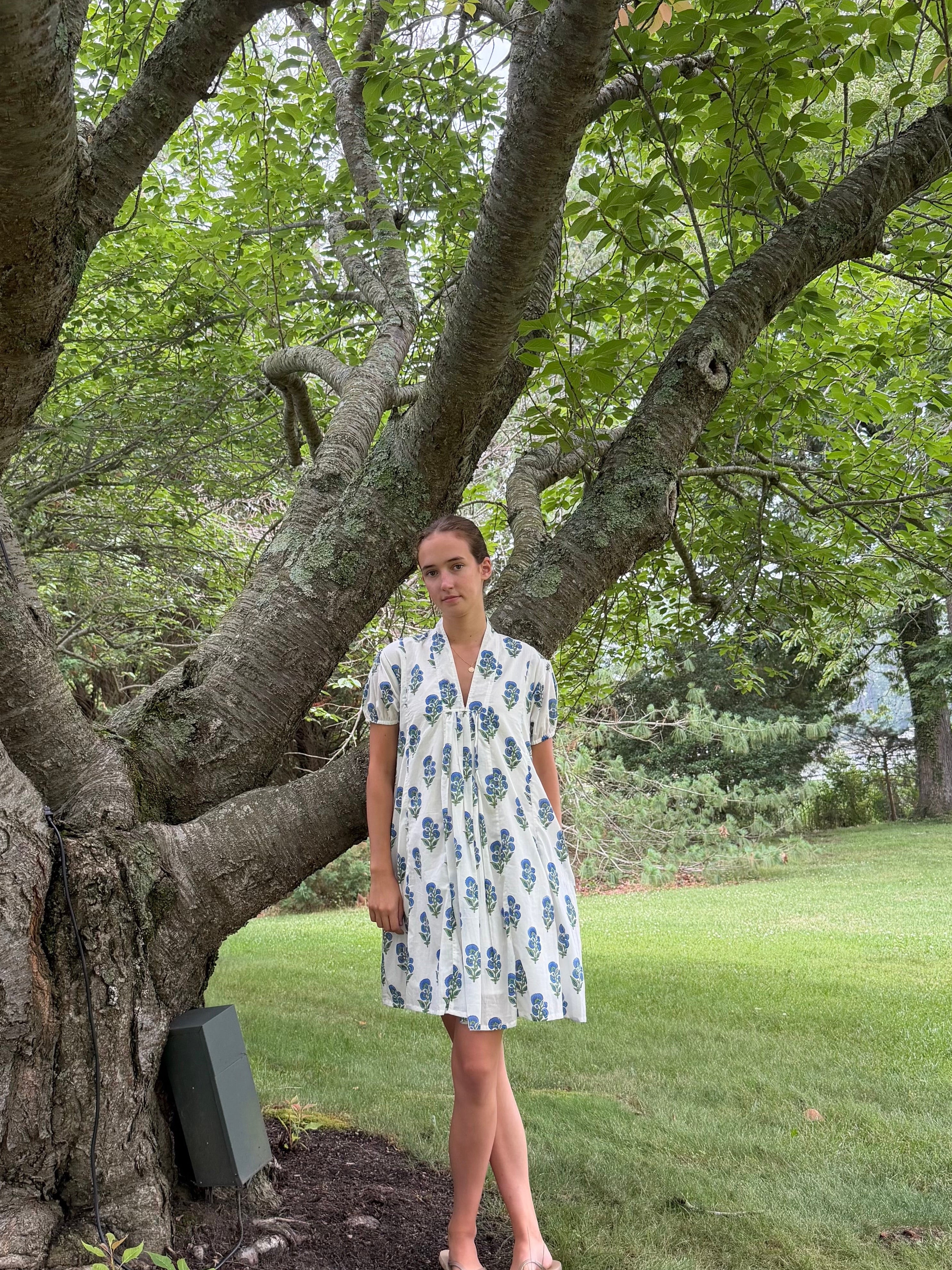 Claire Short Sleeve Mini Dress in Porcelain Bloom